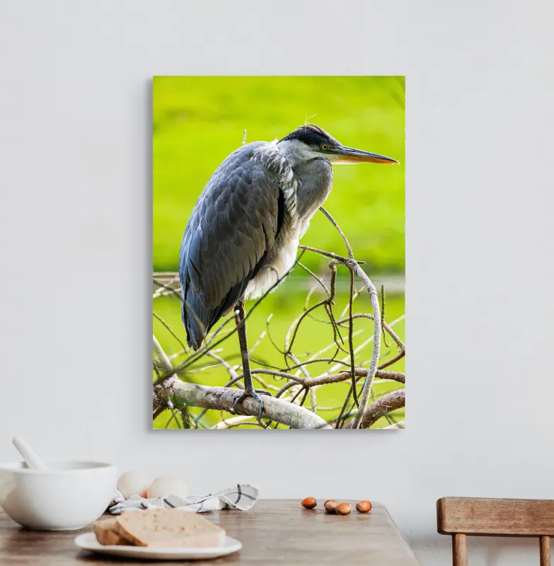 Tablou Canvas, "Egreta în așteptarea prăzii", Pasăre, Stuf, Pene, Gât-Lung, Ochi, Cioc, Ramură, Verde, Natură., 50 x 70 cm – poza 3