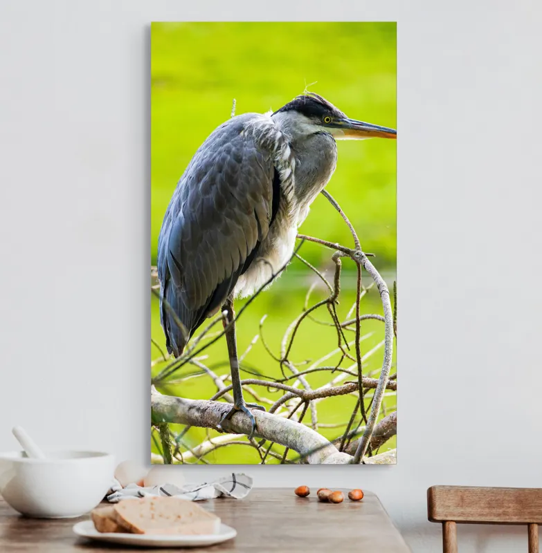 Tablou Canvas, "Egreta în așteptarea prăzii", Pasăre, Stuf, Pene, Gât-Lung, Ochi, Cioc, Ramură, Verde, Natură., 50 x 90 cm – poza 3