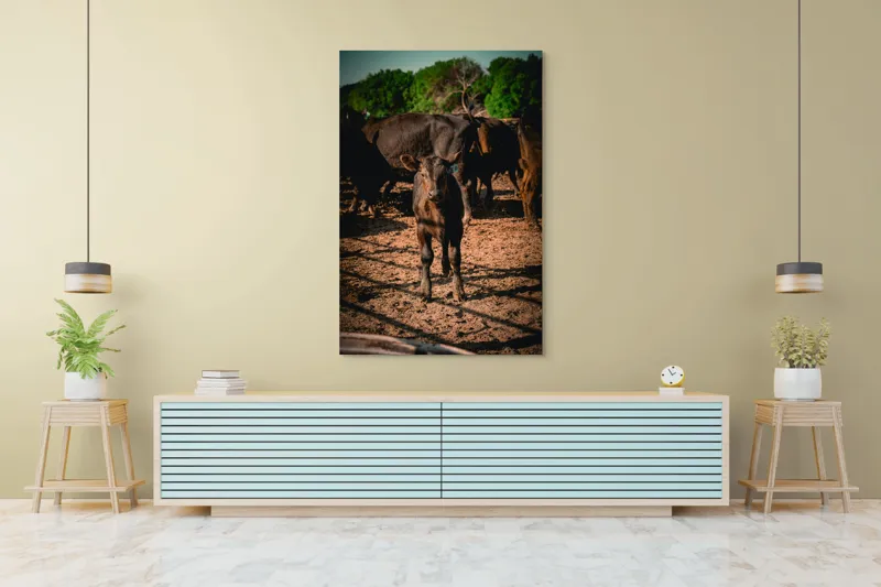 Tablou Canvas, "Vițel curios în lumina dimineții", Vițel, Pământ, Curiozitate, Troupe, Natură, Umbre, Verdeață, Cer., 100 x 150 cm – poza 4