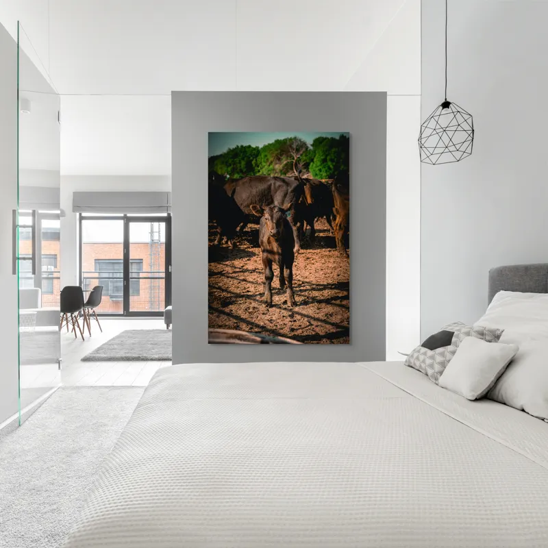 Tablou Canvas, "Vițel curios în lumina dimineții", Vițel, Pământ, Curiozitate, Troupe, Natură, Umbre, Verdeață, Cer., 100 x 150 cm – poza 5
