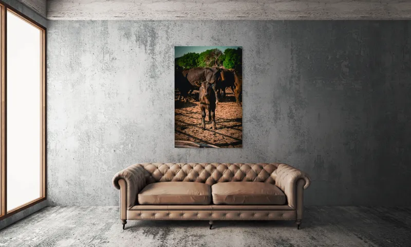Tablou Canvas, "Vițel curios în lumina dimineții", Vițel, Pământ, Curiozitate, Troupe, Natură, Umbre, Verdeață, Cer., 100 x 150 cm – poza 6