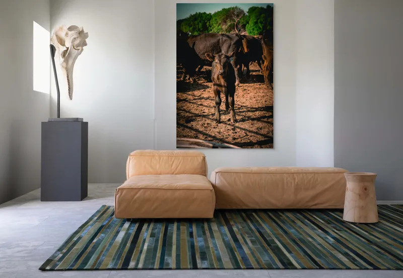 Tablou Canvas, "Vițel curios în lumina dimineții", Vițel, Pământ, Curiozitate, Troupe, Natură, Umbre, Verdeață, Cer., 100 x 150 cm – poza 7