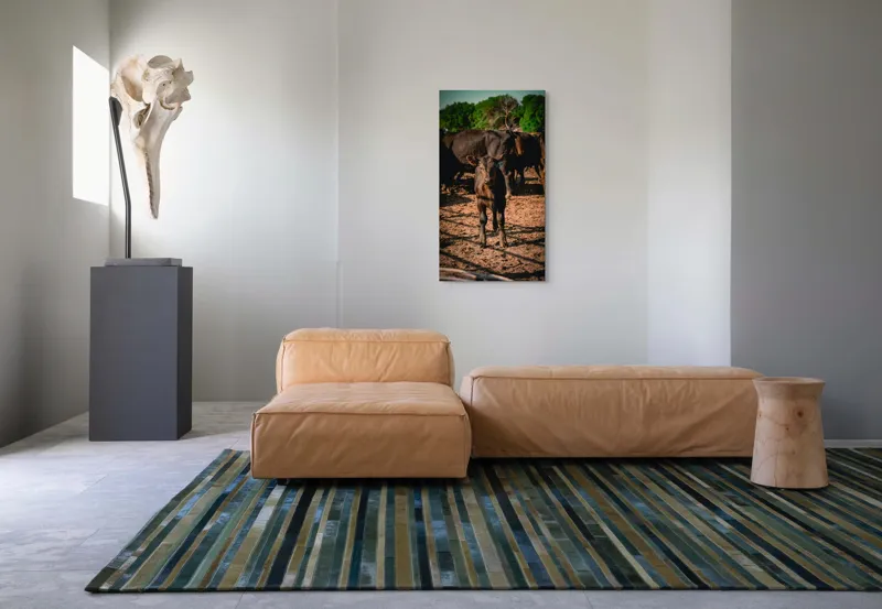 Tablou Canvas, "Vițel curios în lumina dimineții", Vițel, Pământ, Curiozitate, Troupe, Natură, Umbre, Verdeață, Cer., 50 x 90 cm – poza 5