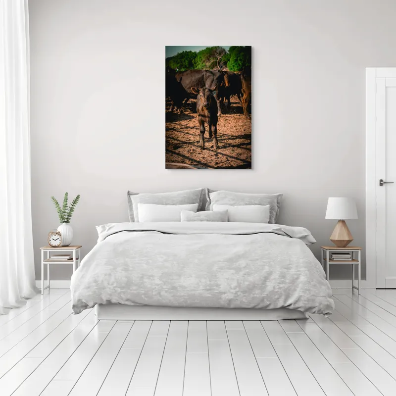 Tablou Canvas, "Vițel curios în lumina dimineții", Vițel, Pământ, Curiozitate, Troupe, Natură, Umbre, Verdeață, Cer., 70 x 100 cm – poza 3