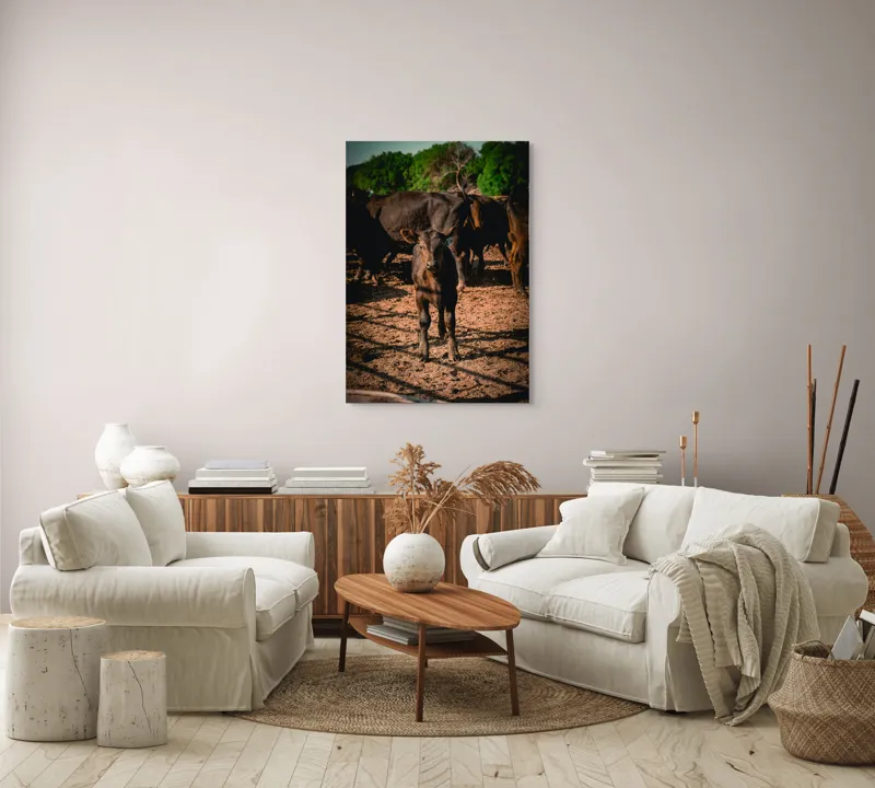 Tablou Canvas, "Vițel curios în lumina dimineții", Vițel, Pământ, Curiozitate, Troupe, Natură, Umbre, Verdeață, Cer., 70 x 100 cm – poza 4