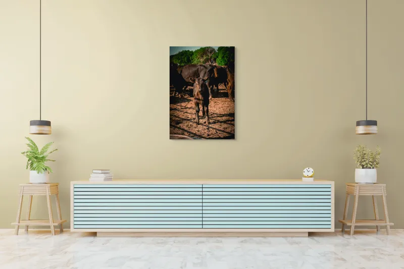 Tablou Canvas, "Vițel curios în lumina dimineții", Vițel, Pământ, Curiozitate, Troupe, Natură, Umbre, Verdeață, Cer., 70 x 100 cm – poza 5