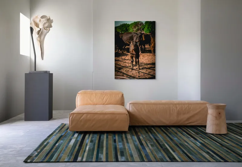 Tablou Canvas, "Vițel curios în lumina dimineții", Vițel, Pământ, Curiozitate, Troupe, Natură, Umbre, Verdeață, Cer., 70 x 100 cm – poza 7