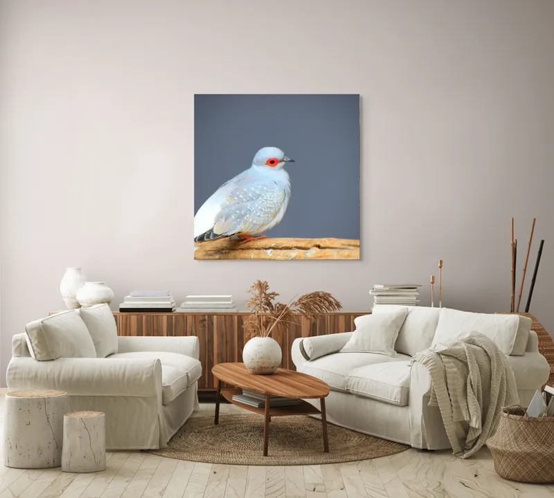 Tablou Canvas, "Porumbel în așteptarea zborului liniștit", Pasăre, Ochi, Roșu, Penaj, Gri, Butuc, Lemn, Elegant, Plinătate, Naturalete, 100 x 100 cm – poza 3