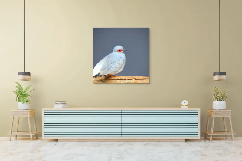 Tablou Canvas, "Porumbel în așteptarea zborului liniștit", Pasăre, Ochi, Roșu, Penaj, Gri, Butuc, Lemn, Elegant, Plinătate, Naturalete, 100 x 100 cm – poza 5