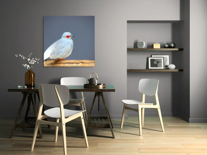 Tablou Canvas, "Porumbel în așteptarea zborului liniștit", Pasăre, Ochi, Roșu, Penaj, Gri, Butuc, Lemn, Elegant, Plinătate, Naturalete, 100 x 100 cm – poza 6