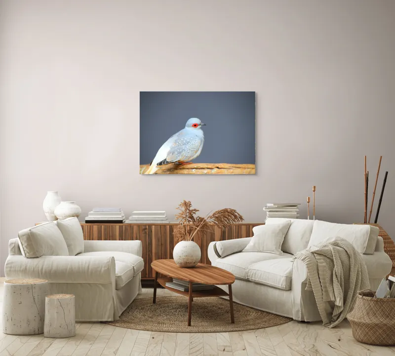 Tablou Canvas, "Porumbel în așteptarea zborului liniștit", Pasăre, Ochi, Roșu, Penaj, Gri, Butuc, Lemn, Elegant, Plinătate, Naturalete, 100 x 70 cm – poza 3