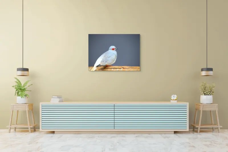 Tablou Canvas, "Porumbel în așteptarea zborului liniștit", Pasăre, Ochi, Roșu, Penaj, Gri, Butuc, Lemn, Elegant, Plinătate, Naturalete, 100 x 70 cm – poza 4