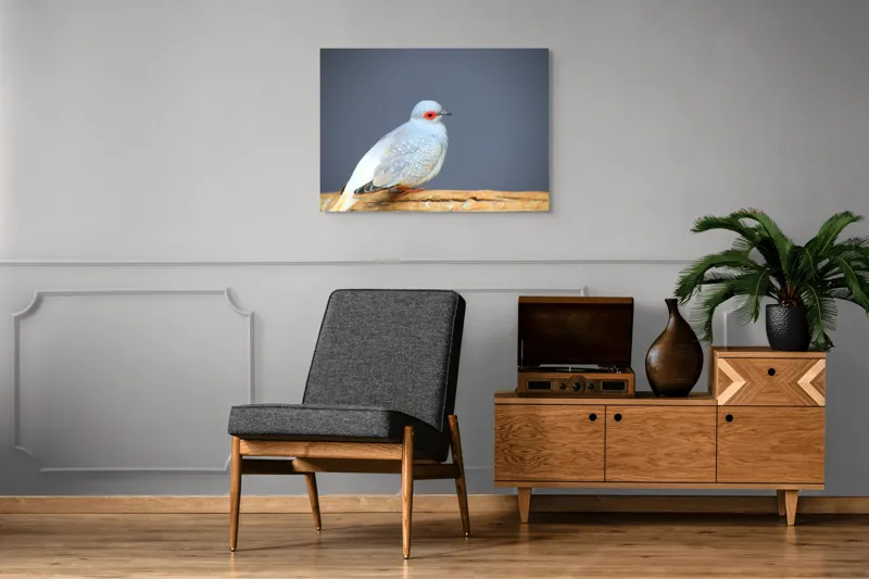 Tablou Canvas, "Porumbel în așteptarea zborului liniștit", Pasăre, Ochi, Roșu, Penaj, Gri, Butuc, Lemn, Elegant, Plinătate, Naturalete, 100 x 70 cm – poza 8