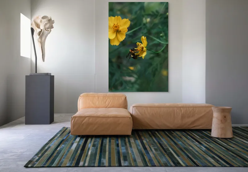 Tablou Canvas, "Bondarul și floarea galbenă în grădină", Floare, Albina, Polenizare, Natura, Verde, Petale, Galben, Fragilitate., 100 x 150 cm – poza 7