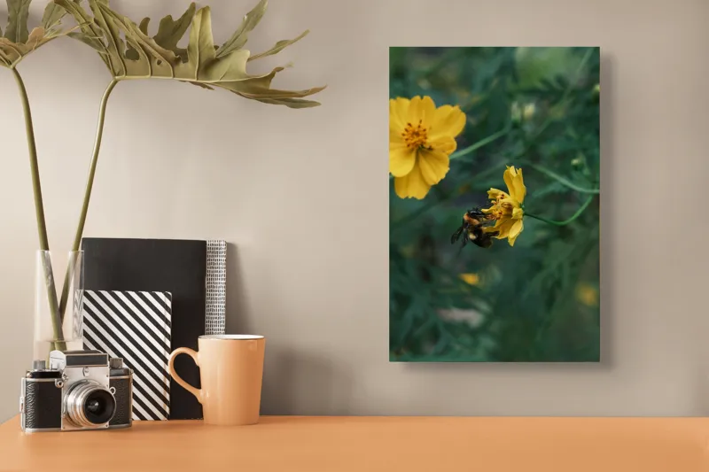 Tablou Canvas, "Bondarul și floarea galbenă în grădină", Floare, Albina, Polenizare, Natura, Verde, Petale, Galben, Fragilitate., 26 x 39 cm – poza 3