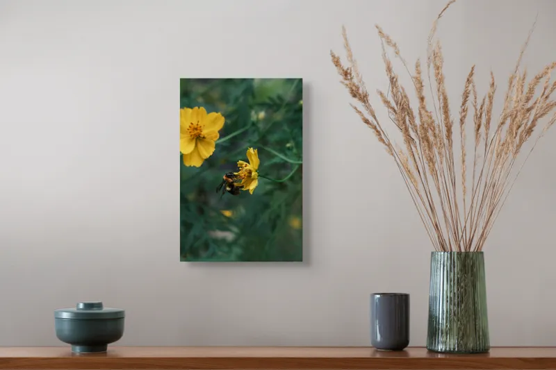 Tablou Canvas, "Bondarul și floarea galbenă în grădină", Floare, Albina, Polenizare, Natura, Verde, Petale, Galben, Fragilitate., 26 x 39 cm – poza 5