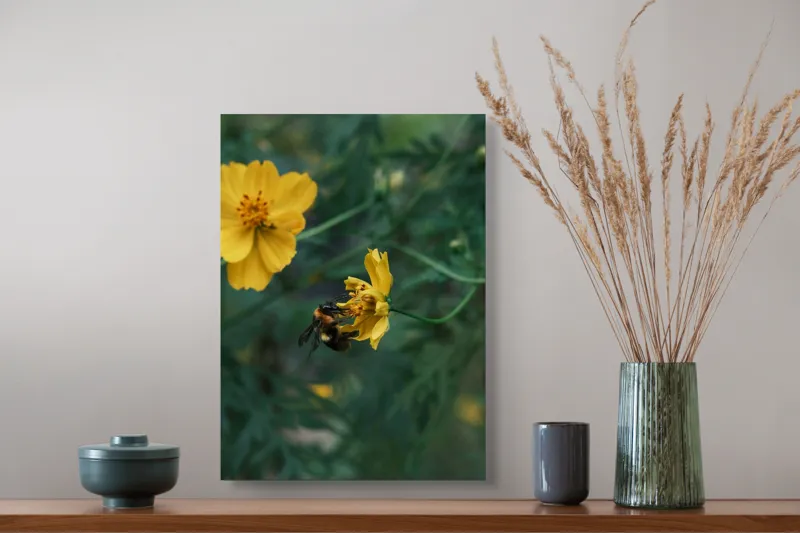 Tablou Canvas, "Bondarul și floarea galbenă în grădină", Floare, Albina, Polenizare, Natura, Verde, Petale, Galben, Fragilitate., 39 x 54 cm – poza 3