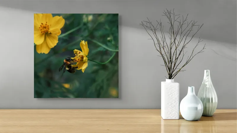 Tablou Canvas, "Bondarul și floarea galbenă în grădină", Floare, Albina, Polenizare, Natura, Verde, Petale, Galben, Fragilitate., 50 x 50 cm – poza 3