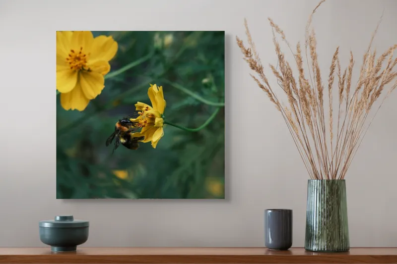 Tablou Canvas, "Bondarul și floarea galbenă în grădină", Floare, Albina, Polenizare, Natura, Verde, Petale, Galben, Fragilitate., 50 x 50 cm – poza 4