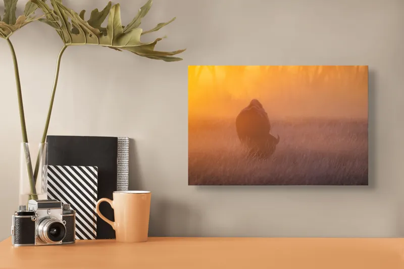 Tablou Canvas, "Bizon în lumina dimineții mistice", Bizon, Răsărit, Ceață, Pajiște, Serenitate, Siluetă, Lumină, Natură, Dimineață, Peisaj, 39 x 26 cm – poza 3