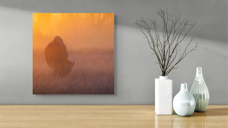 Tablou Canvas, "Bizon în lumina dimineții mistice", Bizon, Răsărit, Ceață, Pajiște, Serenitate, Siluetă, Lumină, Natură, Dimineață, Peisaj, 50 x 50 cm – poza 3