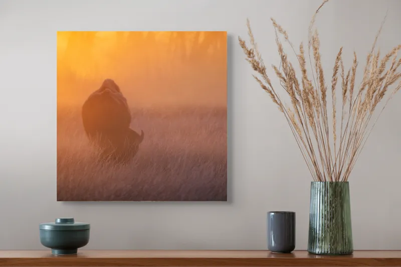Tablou Canvas, "Bizon în lumina dimineții mistice", Bizon, Răsărit, Ceață, Pajiște, Serenitate, Siluetă, Lumină, Natură, Dimineață, Peisaj, 50 x 50 cm – poza 4