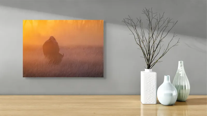 Tablou Canvas, "Bizon în lumina dimineții mistice", Bizon, Răsărit, Ceață, Pajiște, Serenitate, Siluetă, Lumină, Natură, Dimineață, Peisaj, 54 x 39 cm – poza 3