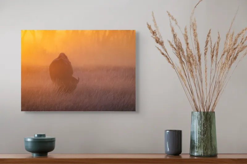 Tablou Canvas, "Bizon în lumina dimineții mistice", Bizon, Răsărit, Ceață, Pajiște, Serenitate, Siluetă, Lumină, Natură, Dimineață, Peisaj, 54 x 39 cm – poza 4