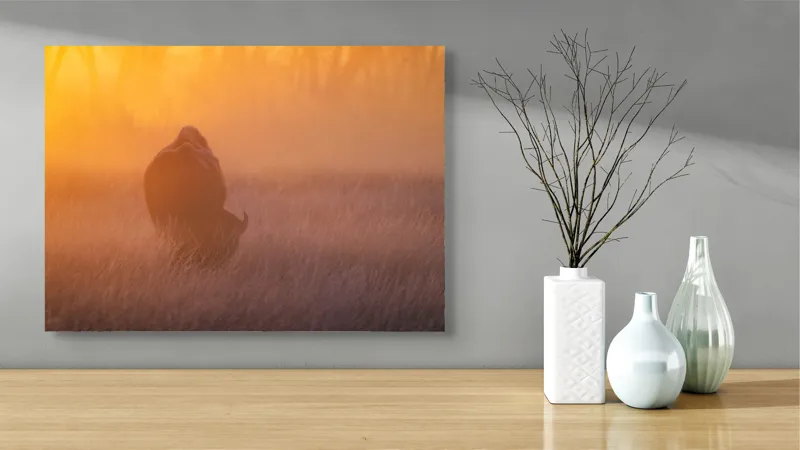 Tablou Canvas, "Bizon în lumina dimineții mistice", Bizon, Răsărit, Ceață, Pajiște, Serenitate, Siluetă, Lumină, Natură, Dimineață, Peisaj, 70 x 50 cm – poza 3