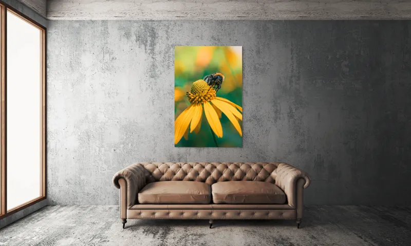 Tablou Canvas, "Albină pe petale aurii ale verii", Albina, Floare, Galben, Natură, Detaliu, Blând., 100 x 150 cm – poza 6