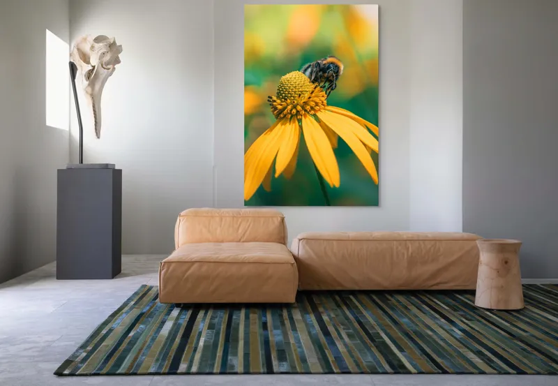 Tablou Canvas, "Albină pe petale aurii ale verii", Albina, Floare, Galben, Natură, Detaliu, Blând., 100 x 150 cm – poza 7