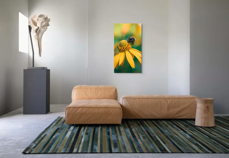 Tablou Canvas, "Albină pe petale aurii ale verii", Albina, Floare, Galben, Natură, Detaliu, Blând., 50 x 90 cm – poza 5