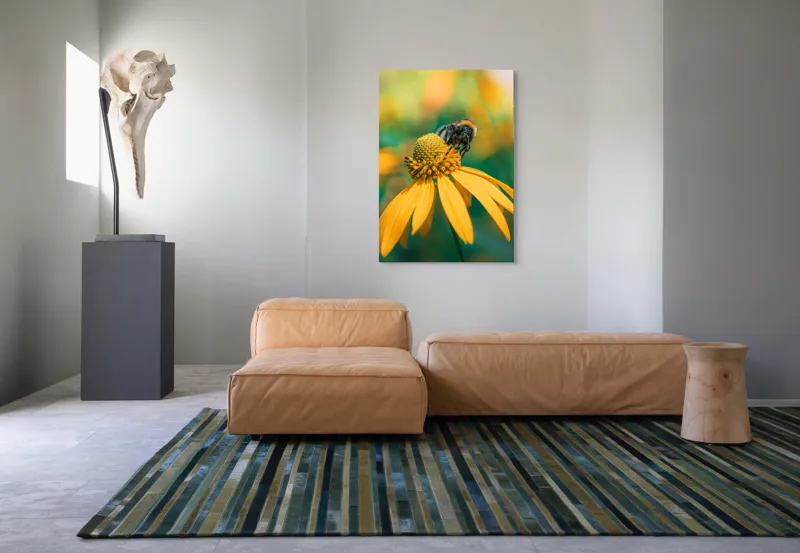Tablou Canvas, "Albină pe petale aurii ale verii", Albina, Floare, Galben, Natură, Detaliu, Blând., 70 x 100 cm – poza 7