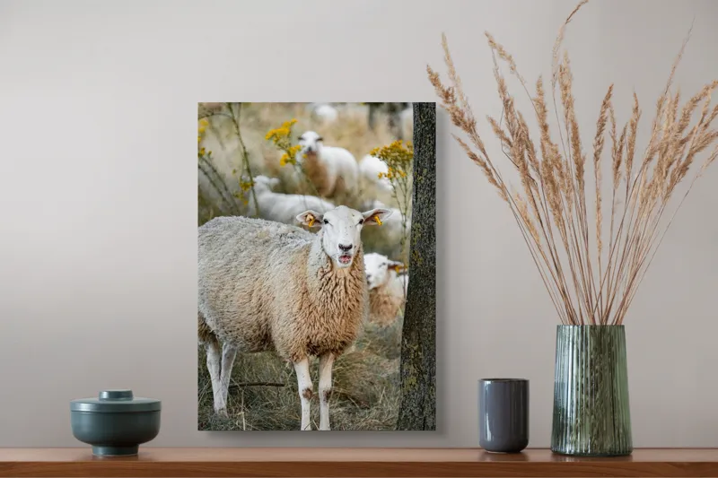 Tablou Canvas, "Oile în lumina apusului de toamnă", Oaie, Pășune, Flori, Copac, Blană, Cercei, Toamnă, Natură, Iarbă, Turmă, 39 x 54 cm – poza 3
