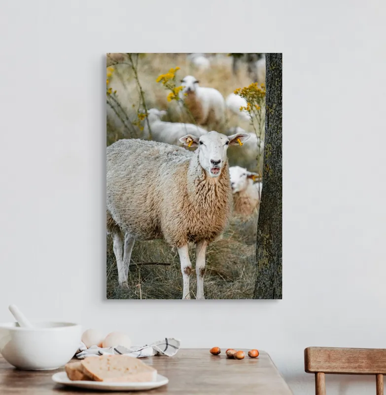 Tablou Canvas, "Oile în lumina apusului de toamnă", Oaie, Pășune, Flori, Copac, Blană, Cercei, Toamnă, Natură, Iarbă, Turmă, 50 x 70 cm – poza 3