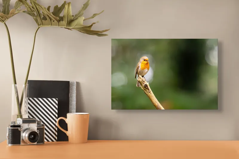 Tablou Canvas, "Mierla cântă pe ramura singuratică", Pasăre, Ramură, Verdeață, Natură, Liniște, Delicatețe, Aripi, Pene, Observație, Echilibru, 39 x 26 cm – poza 3