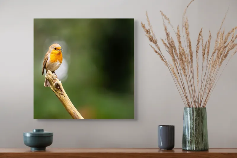Tablou Canvas, "Mierla cântă pe ramura singuratică", Pasăre, Ramură, Verdeață, Natură, Liniște, Delicatețe, Aripi, Pene, Observație, Echilibru, 50 x 50 cm – poza 4