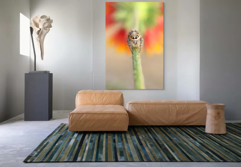 Tablou Canvas, "Păianjen curios pe petale colorate", Păianjen, Blăniță, Ochi, Plantă, Neclar, Fundal, Culoare, Roșu, Verde, Natură, Prim-plan., 100 x 150 cm – poza 7