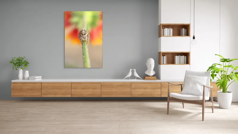 Tablou Canvas, "Păianjen curios pe petale colorate", Păianjen, Blăniță, Ochi, Plantă, Neclar, Fundal, Culoare, Roșu, Verde, Natură, Prim-plan., 100 x 150 cm – poza 8
