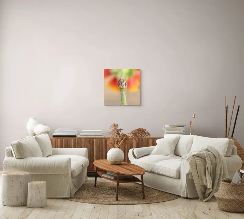 Tablou Canvas, "Păianjen curios pe petale colorate", Păianjen, Blăniță, Ochi, Plantă, Neclar, Fundal, Culoare, Roșu, Verde, Natură, Prim-plan., 50 x 50 cm – poza 7