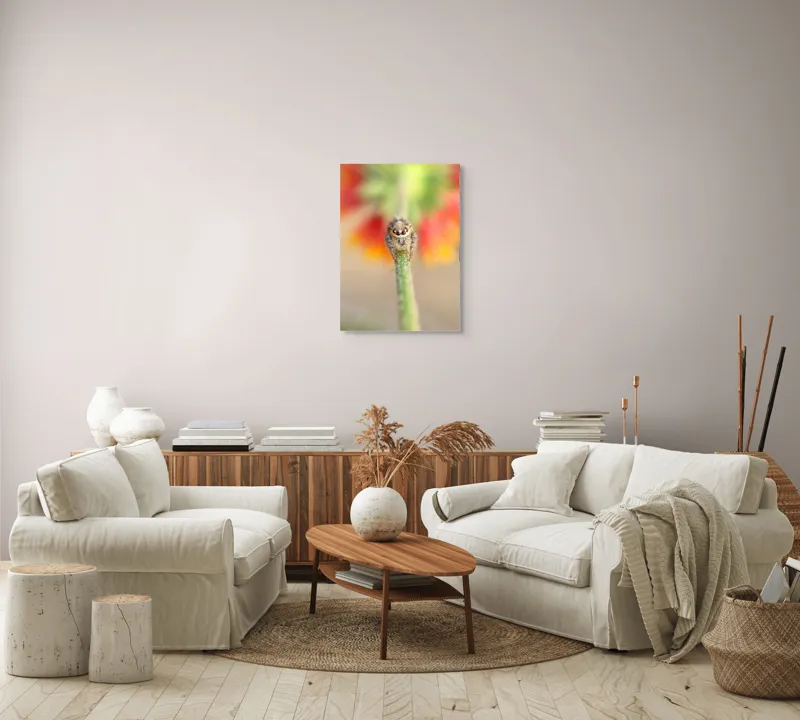 Tablou Canvas, "Păianjen curios pe petale colorate", Păianjen, Blăniță, Ochi, Plantă, Neclar, Fundal, Culoare, Roșu, Verde, Natură, Prim-plan., 50 x 70 cm – poza 4