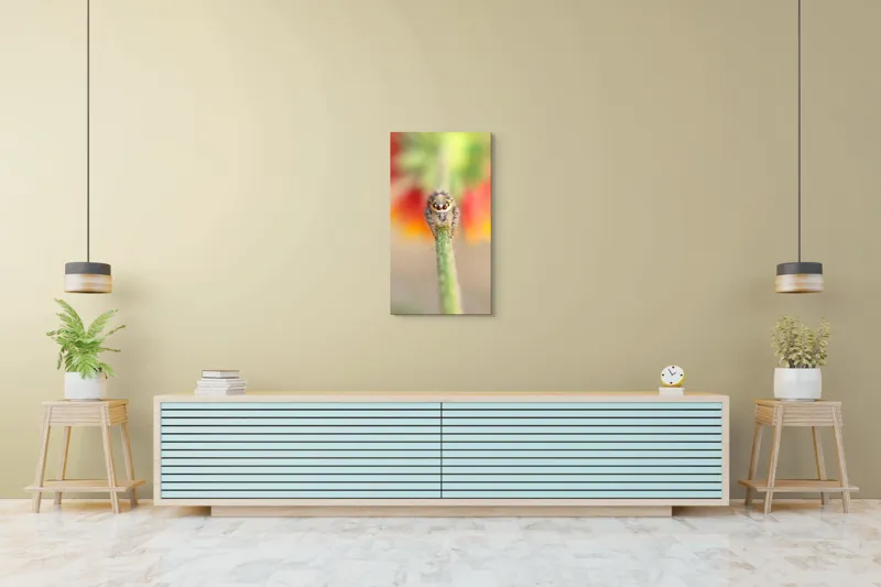 Tablou Canvas, "Păianjen curios pe petale colorate", Păianjen, Blăniță, Ochi, Plantă, Neclar, Fundal, Culoare, Roșu, Verde, Natură, Prim-plan., 50 x 90 cm – poza 6