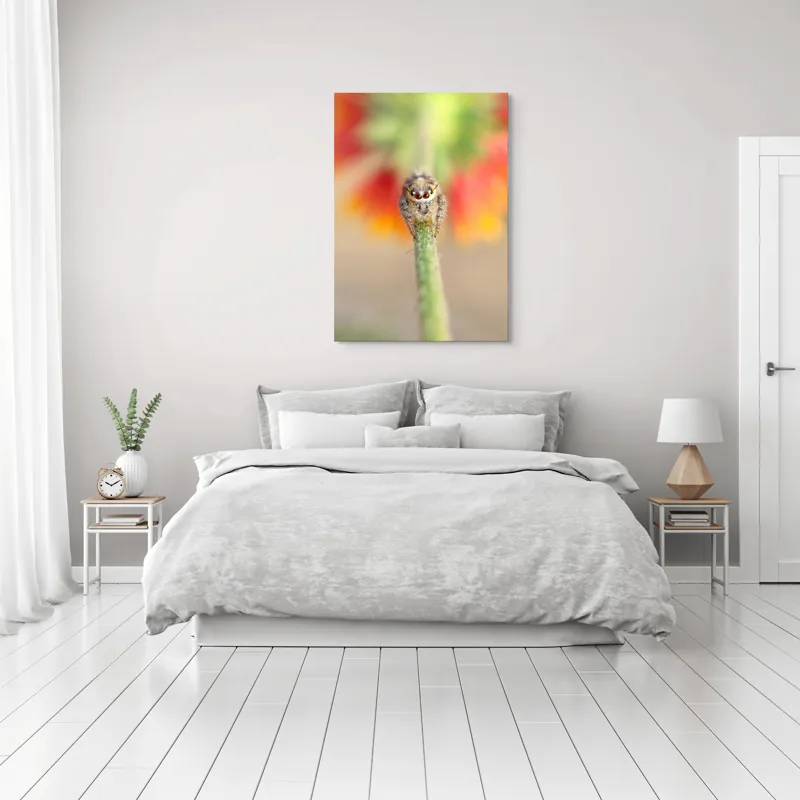 Tablou Canvas, "Păianjen curios pe petale colorate", Păianjen, Blăniță, Ochi, Plantă, Neclar, Fundal, Culoare, Roșu, Verde, Natură, Prim-plan., 70 x 100 cm – poza 3