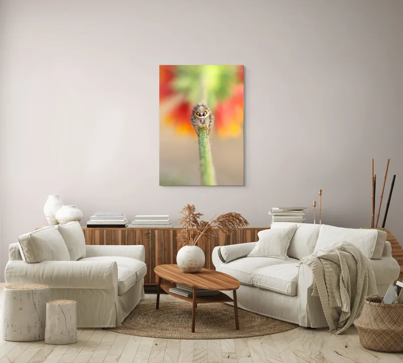 Tablou Canvas, "Păianjen curios pe petale colorate", Păianjen, Blăniță, Ochi, Plantă, Neclar, Fundal, Culoare, Roșu, Verde, Natură, Prim-plan., 70 x 100 cm – poza 4