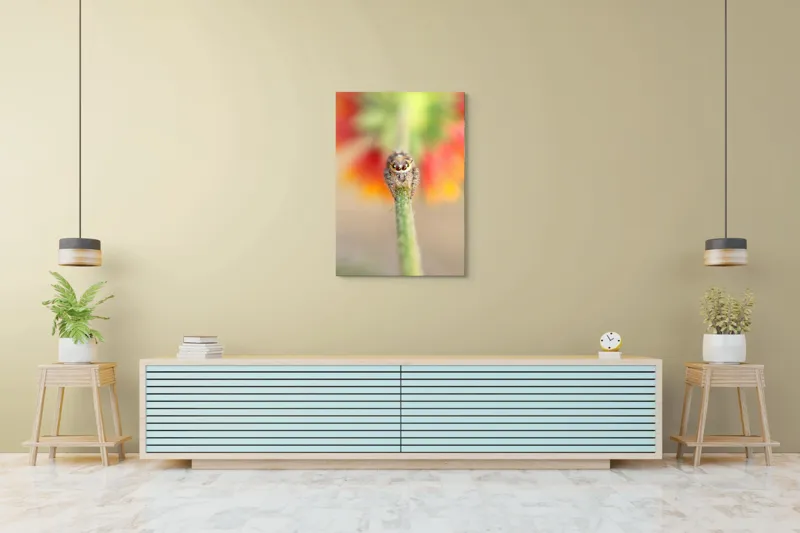 Tablou Canvas, "Păianjen curios pe petale colorate", Păianjen, Blăniță, Ochi, Plantă, Neclar, Fundal, Culoare, Roșu, Verde, Natură, Prim-plan., 70 x 100 cm – poza 5