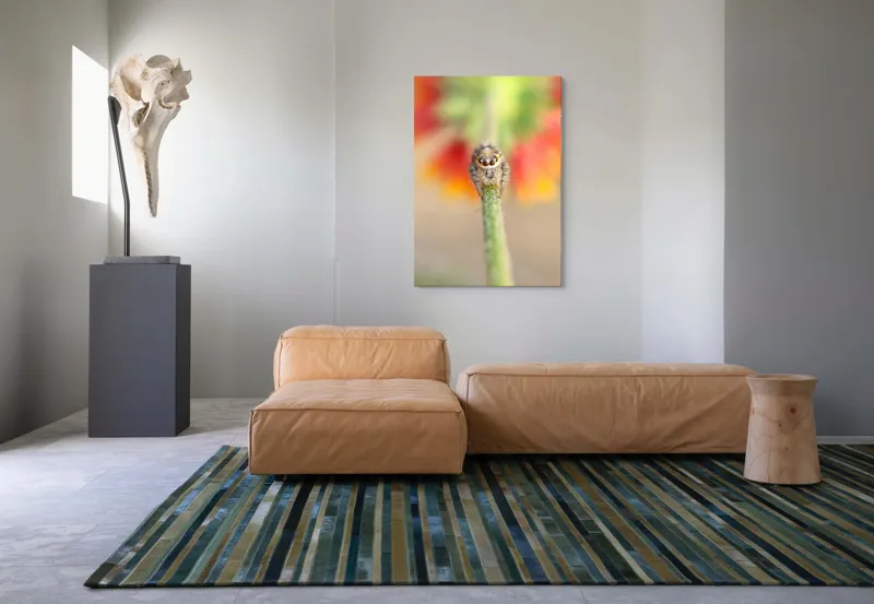 Tablou Canvas, "Păianjen curios pe petale colorate", Păianjen, Blăniță, Ochi, Plantă, Neclar, Fundal, Culoare, Roșu, Verde, Natură, Prim-plan., 70 x 100 cm – poza 7
