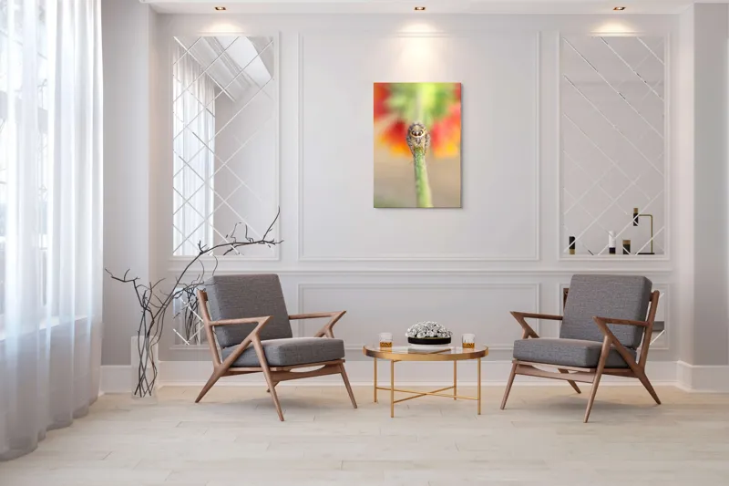 Tablou Canvas, "Păianjen curios pe petale colorate", Păianjen, Blăniță, Ochi, Plantă, Neclar, Fundal, Culoare, Roșu, Verde, Natură, Prim-plan., 70 x 100 cm – poza 8