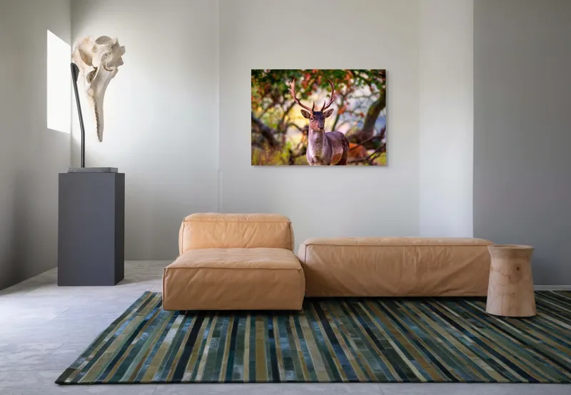 Tablou Canvas, "Cerbul în lumina dimineții de toamnă", Frumusețe, Grație, Natură, Pădure, Toamnă, Cerb, Elegant, Ramuri, Peisaj, Sălbăticie, 100 x 70 cm – poza 7