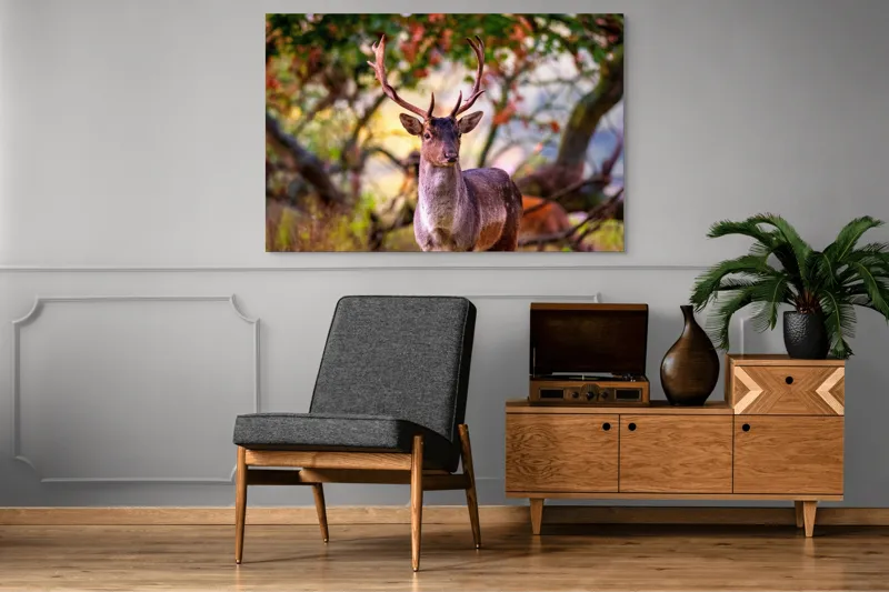 Tablou Canvas, "Cerbul în lumina dimineții de toamnă", Frumusețe, Grație, Natură, Pădure, Toamnă, Cerb, Elegant, Ramuri, Peisaj, Sălbăticie, 150 x 100 cm – poza 8