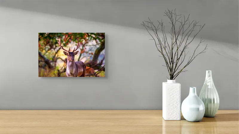 Tablou Canvas, "Cerbul în lumina dimineții de toamnă", Frumusețe, Grație, Natură, Pădure, Toamnă, Cerb, Elegant, Ramuri, Peisaj, Sălbăticie, 39 x 26 cm – poza 8